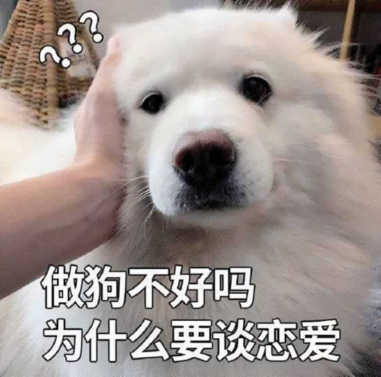 6个养狗知识，不知道的，只能证明你养狗有多失败"