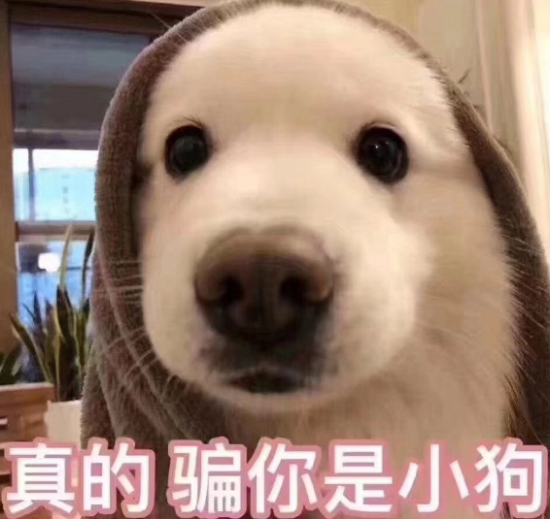 6个养狗知识，不知道的，只能证明你养狗有多失败"