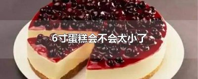 ​六寸大小蛋糕相当多大? 6寸蛋糕很小吗