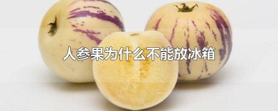 ​人参果应该放冰箱吗 人参果要放冰箱里吗
