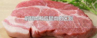 ​猪肉馅用前腿肉好还是后腿好 肉包用前腿肉还是后腿肉