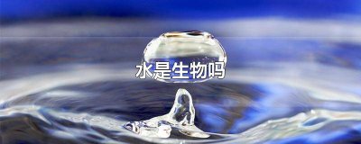 ​水是生物吗? 水是生物吗请说明理由
