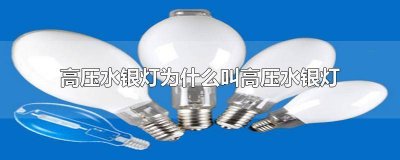 ​水银灯为什么不完整 水银灯为什么恨真红