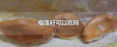 ​榴莲籽如何吃好吃 榴莲籽如何吃效果最好