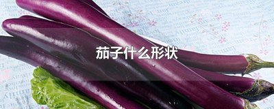 ​茄子的颜色,形状,还有表面是什么 茄子的颜色形状和表面各是什么