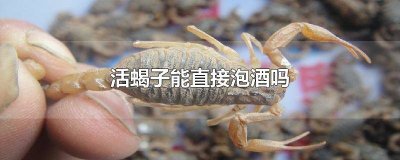 ​活蝎子可以直接泡酒吗? 用活蝎子泡的酒能喝吗