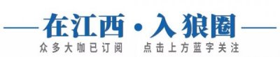 ​什么是四特酒(什么四特酒好)