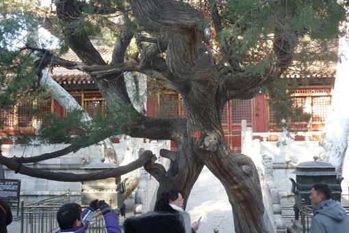 故宫三处不宜拍照的地方在哪?有没有开放呢?