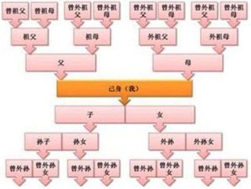 诛九族是哪九族?