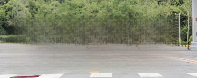车展买车便宜吗-