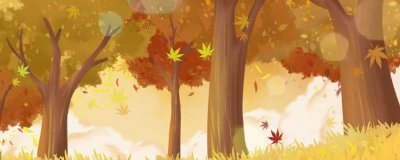 ​秋天树叶为什么变黄了