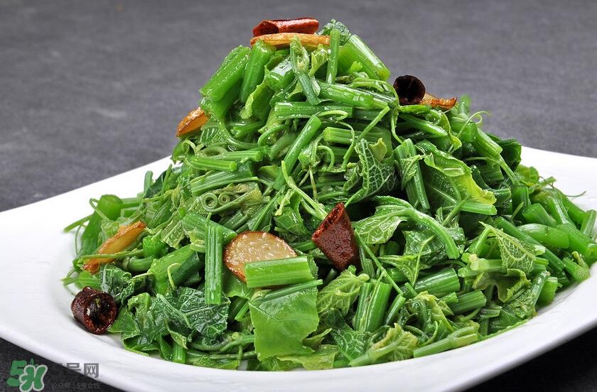 龙须菜是什么菜？龙须菜怎么吃？