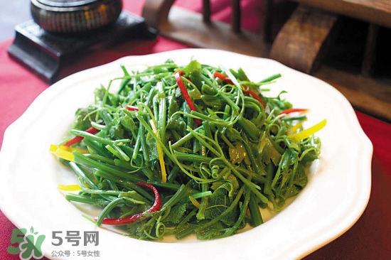 龙须菜是什么菜？龙须菜怎么吃？