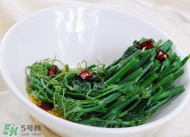 龙须菜是什么菜？龙须菜怎么吃？