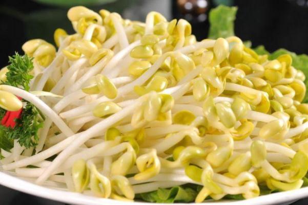 黄豆芽没煮熟会中毒吗 黄豆芽嘌呤高吗