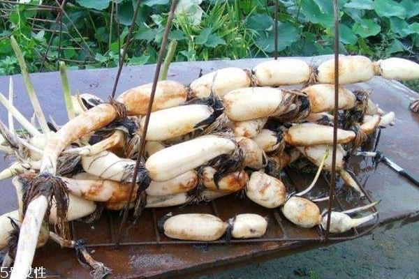 莲藕变红怎么回事 因为含有这个成分