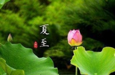 ​农村老人说“夏至三伏数头伏”什么意思？今年何时入伏？