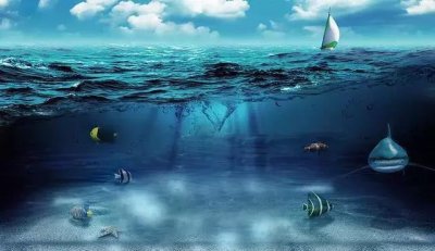 ​鄂尔多斯海洋馆即将盛大开馆！百余种、万余尾珍稀海洋生物等你来