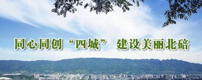 ​蔡家：完善产业链，打造两江半岛宜居新城