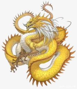 ​五爪龙—四爪龙的由来