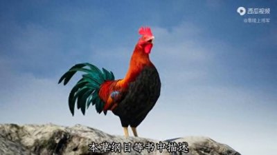 ​蜃，民间四大邪兽之一，最欺软怕硬，帮大佬实现愿望，吃掉...