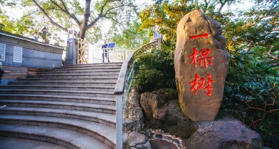 ​重庆南山风景区都有哪些游玩地点？
