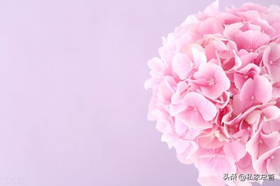 ​不同月份开放的鲜花！