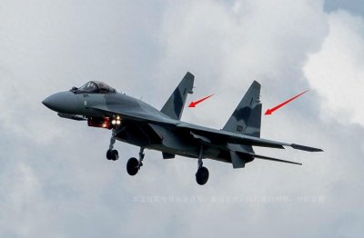 ​苏35为何这么厉害？美国F22隐身神话被打破，中国花重金求购