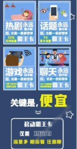 ​霸王卡多少钱一张 19块钱一个月