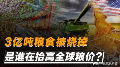 ​荒唐的能源陷阱！3亿吨主粮被烧掉，生物燃料才是粮食危机元凶