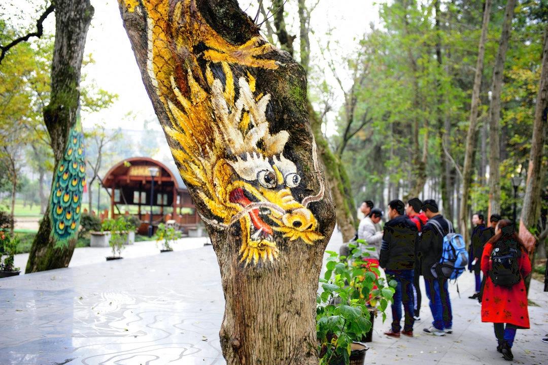 猪上树了！安徽一家景区现彩绘“树画”，各种动物爬树身