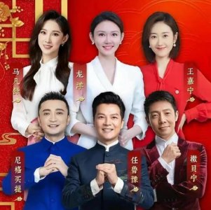 ​你了解那个从普通院校一步步走进春晚的主持人——王嘉宁吗？
