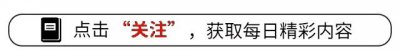 ​养老金缴纳比例详细