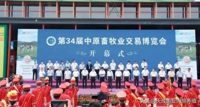 ​热烈祝贺天成鸽业荣获“河南省畜禽种业发展突出贡献企业奖”
