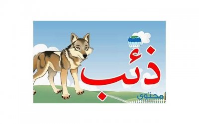 ​专业挽回爱情的5个方法，让你成功复合