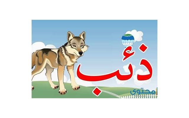 专业挽回爱情的5个方法,让你成功复合 专业挽回爱情的5个方法,让你成功复合