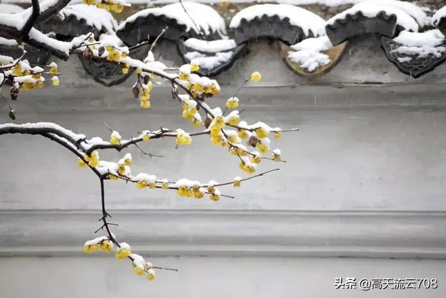 最简洁的辞职报告文本(我的辞职报告经典收藏版)(4)