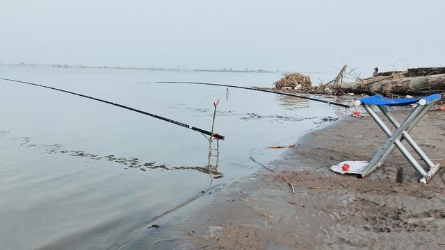 黄河中的“花妞”,常被钓友误认为是“鸽子鱼”,天冷更好钓