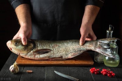 ​如何钓好鲢鳙，学会了狂拉硬拽不是梦