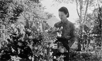 张学良的发妻于凤至小姐的真容：图一是张学良和于凤至的合照