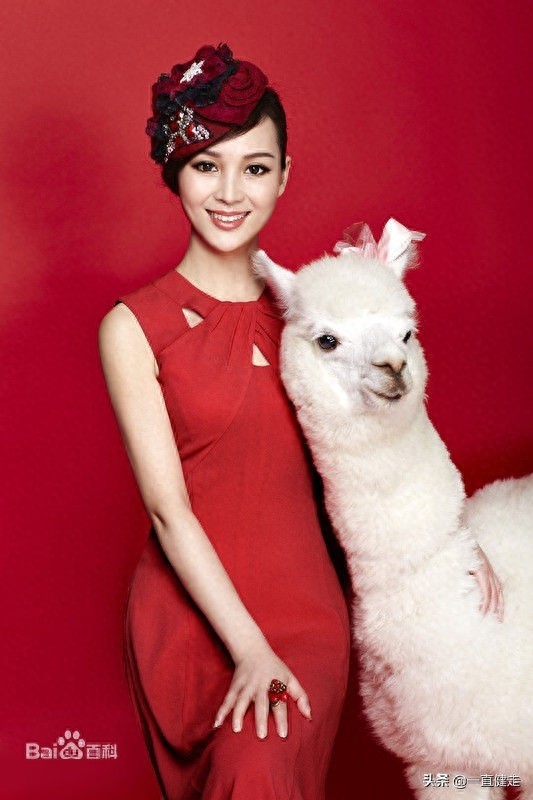 “飞天奖”电视剧——《全家福》