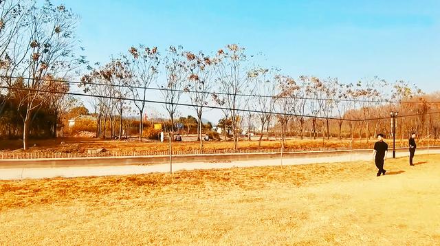 武汉冬季近郊自驾游最佳去处（十几个项目玩到停不下来）(7)