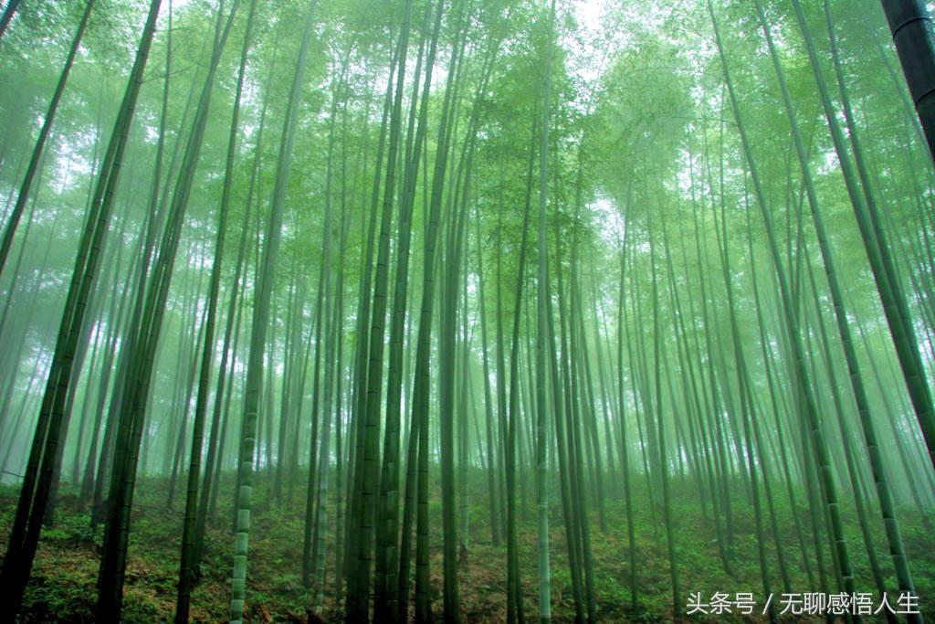 赤水市属于哪个省哪个市(贵州赤水属于哪个市)