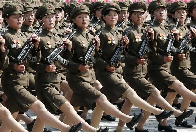 朝鲜美女特务（2008年韩国发现朝鲜美女特工）(3)