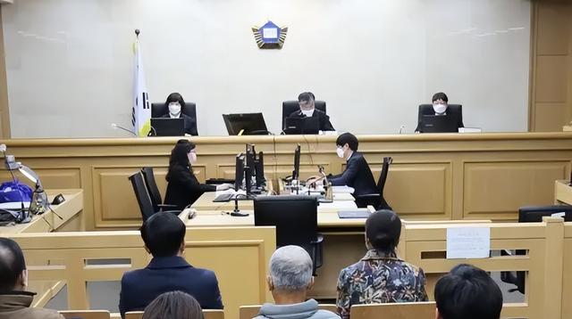 朝鲜美女特务（2008年韩国发现朝鲜美女特工）(12)