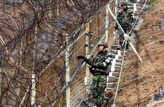 朝鲜美女特务（2008年韩国发现朝鲜美女特工）(4)