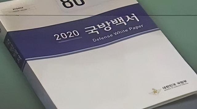 朝鲜美女特务（2008年韩国发现朝鲜美女特工）(16)