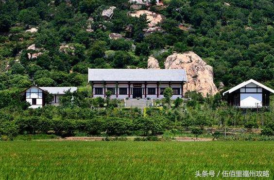 福州市有几个森林公园（福州五大国家级森林公园）(38)