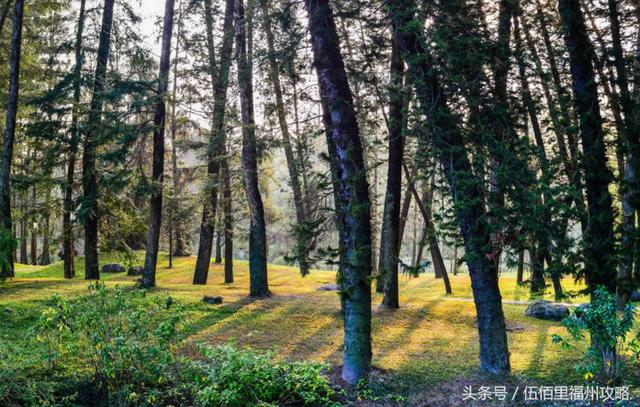 福州市有几个森林公园（福州五大国家级森林公园）(29)