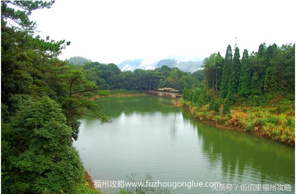 福州市有几个森林公园（福州五大国家级森林公园）(23)